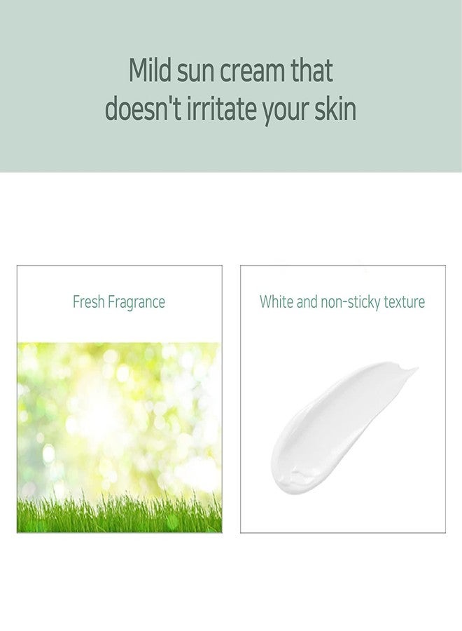 Dabo Aloe Vera Calming Sun Cream UV-AB Shield SPF50+ PA++++ 70ml 2.36 fl. oz. (Pack of 2) Soft & Mild Natural Complex - Image 4